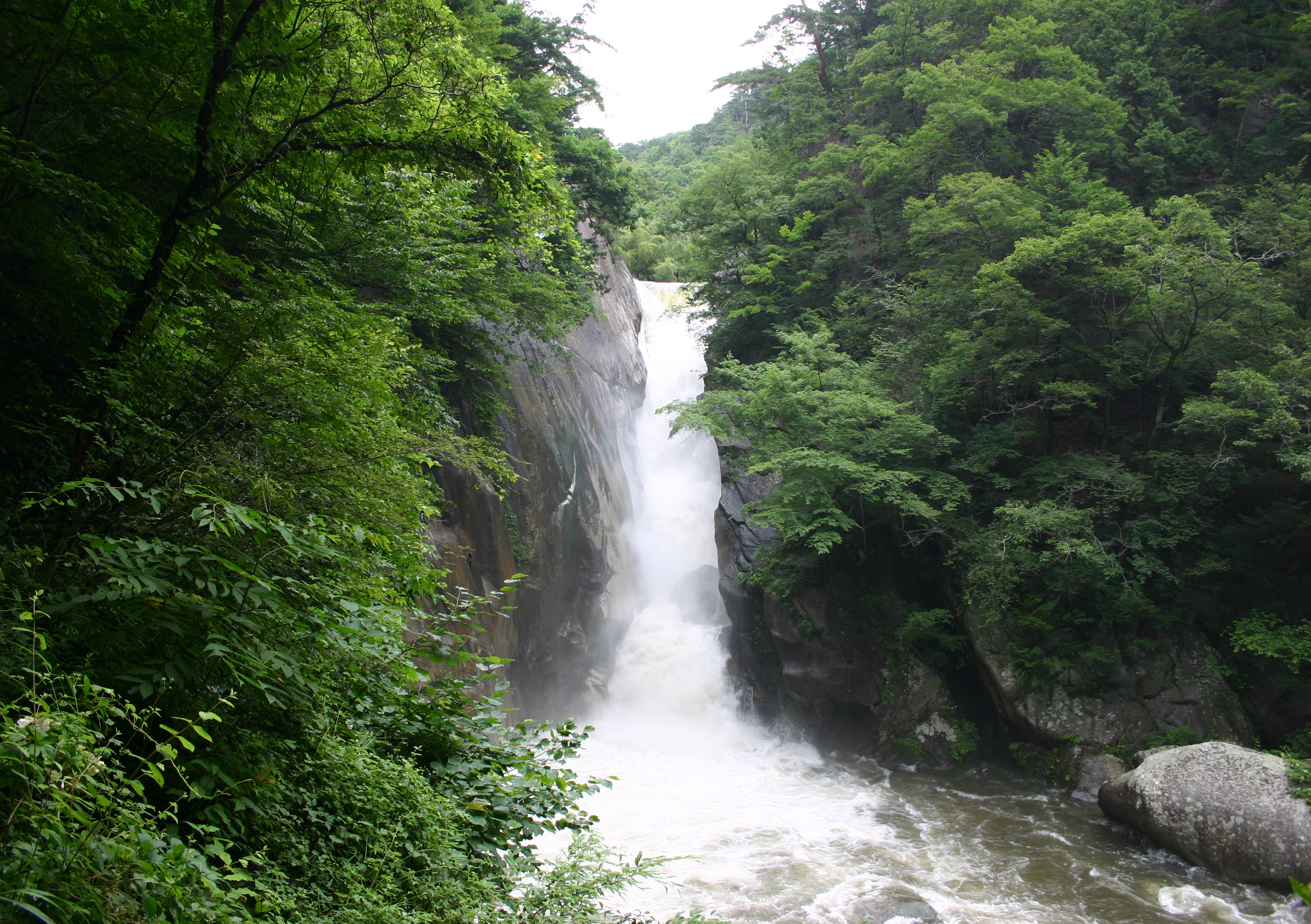 EFBC97EFBC8EEFBC91EFBC95E6BB9D