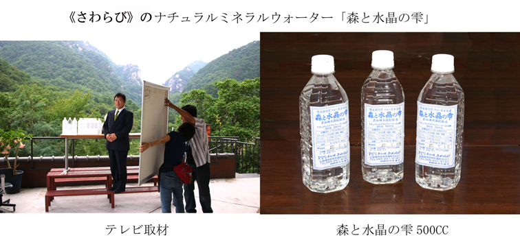 参考資料1